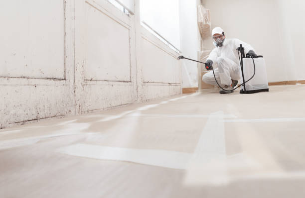 24/7 Emergency Mold Remediation experts in Roanoke Rapids, NC
