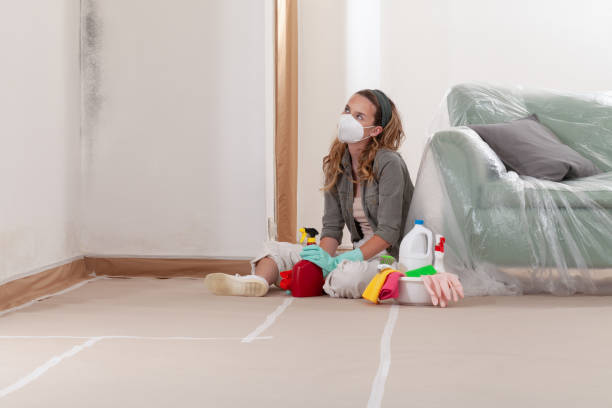 Reliable Mold Remediation contractor in Roanoke Rapids, NC by 24 Hour Mold Removal