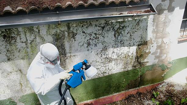 Top rated local Mold Remediation specialists in Roanoke Rapids, NC